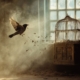 A bird flying away from a birdcage symbolizes freedom and escape.