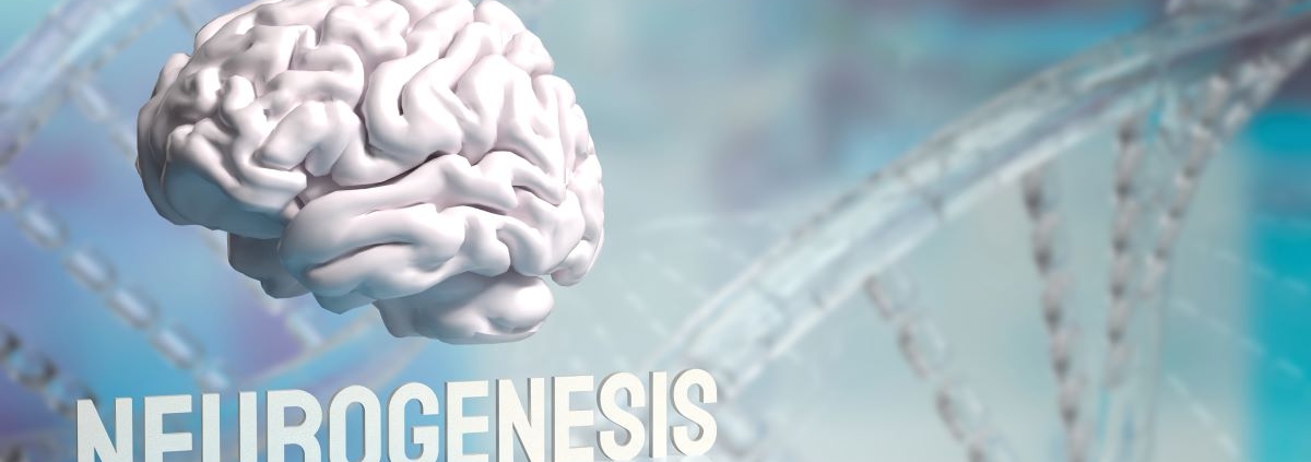 We must target Illness in its origins.