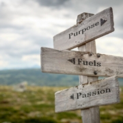 We all have a purpose in this life, even if mostly invisible. Never stop searching. You will discern it sooner or later.