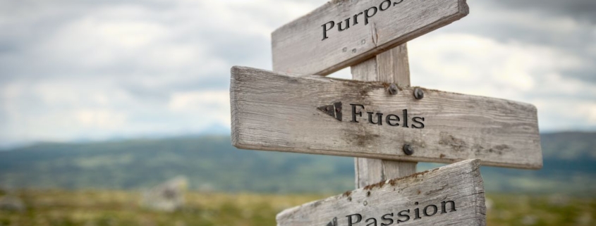 We all have a purpose in this life, even if mostly invisible. Never stop searching. You will discern it sooner or later.