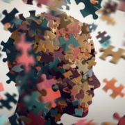 Executive Dysfunction can be described as the inability of putting the pieces of the puzzle together.