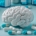 Mental Illness' conventional and alternative treatments.