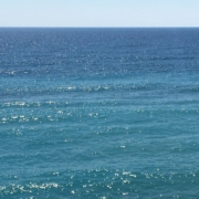 harmony_iwics Harmony and Peace need a 'body' to prosper. They can t survive in a 'toxic body'.