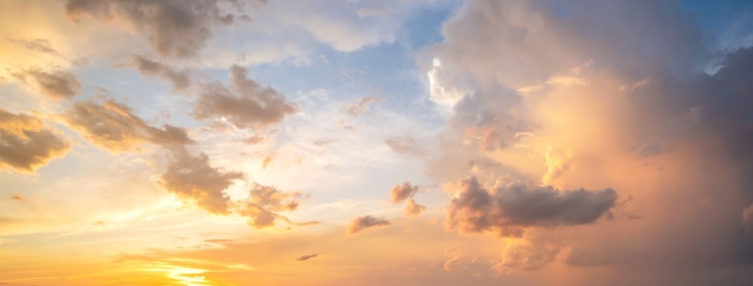 Every day has a purpose.